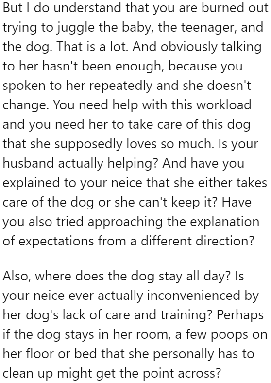 Redditor Suggests Getting the Dog to Stay in the Niece's Room to 