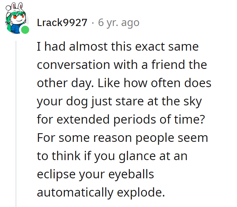 It's like people imagine dogs spend their days stargazing!