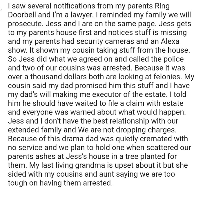 OP and Their Sister Have Gotten Two of Their Cousins Arrested After They Entered Their Late Father's House and Took Some of His Property