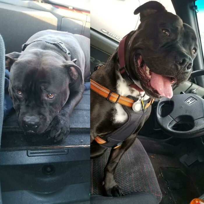 "Ride From The Shelter vs. Ride For Fun"