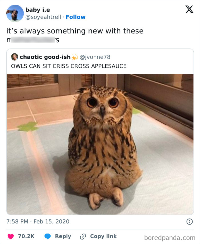 29. Blessed Discovery