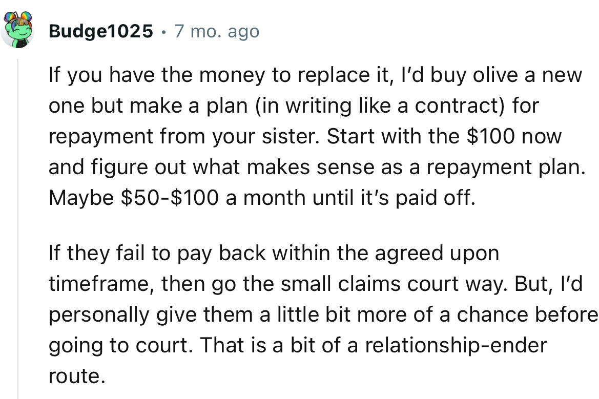 “If you have the money to replace it, I’d buy Olive a new one but make a plan for repayment from your sister.”