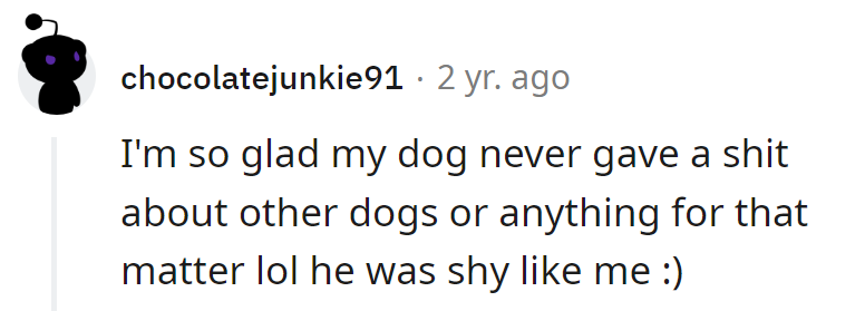 His dog's apathy mirrored his own, making for a pair of shy companions in a world of distractions.