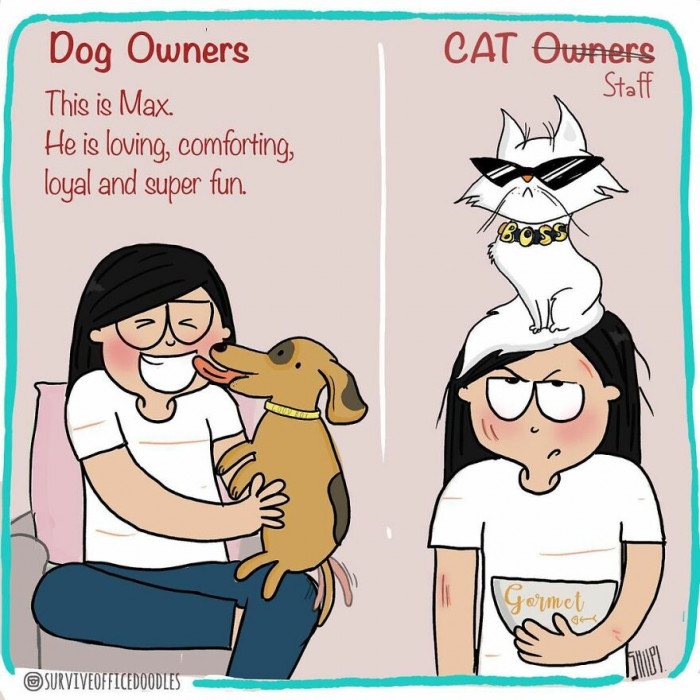 6. Cats can be annoying, but we love them anyway!