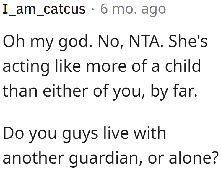 A Redditor clarifies if the OP and his sister are accompanied by a guardian.