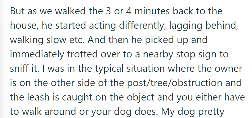 On the way home, the dog lagged, then rushed to sniff a stop sign, causing the leash to catch—a common issue for owners.
