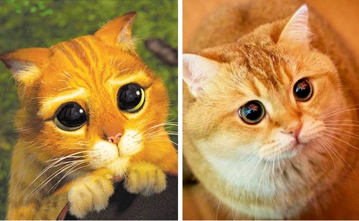 9. Puss in Boots - Shrek