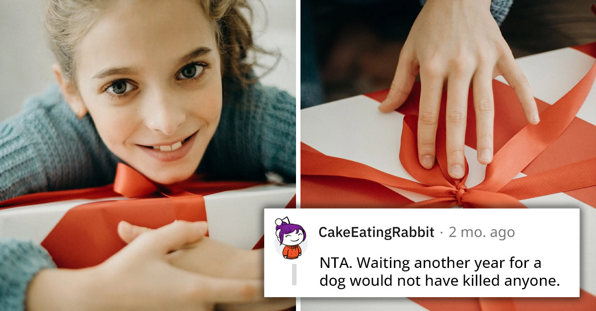 Reddit User Gets Into Fight With Family Because They Want To Gift Her Sister A Dog