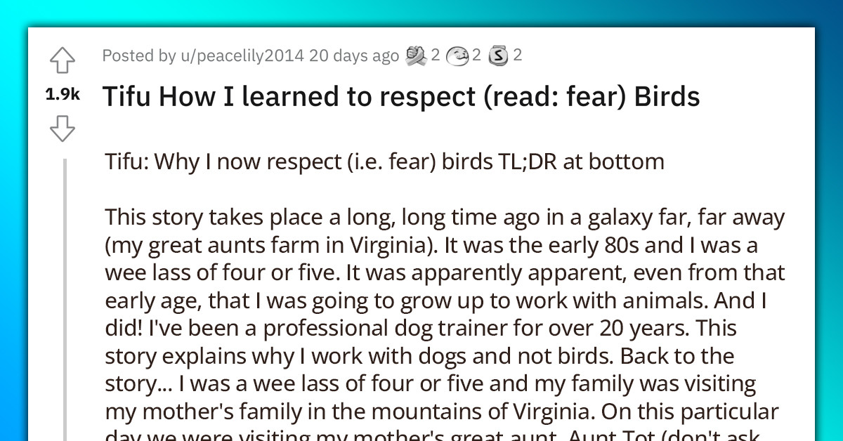 Redditor Shares The Hilarious Story Of An Incident With An Angry Peacock That Made Her Respect And Fear Birds