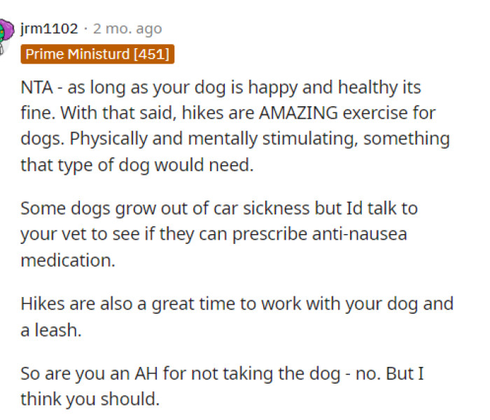 Hikes are very good for dogs, so even if they don't go all the time, it would still be a great way to keep them engaged and stimulated.