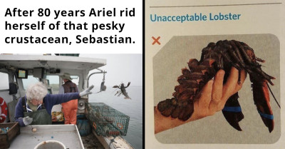 25 Funny and Relatable Memes Created by Users Who Are Cracking Up Over a Photo of a 101-Year-Old Grandma Throwing a Small Lobster That Can't Be Harvested