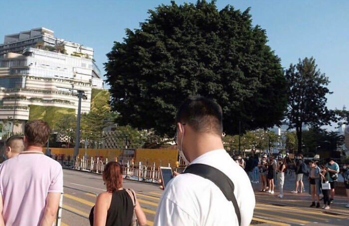 25. Street Picture Taken By Edas Wong