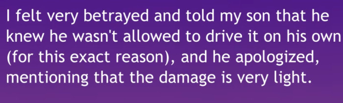 OP's son claimed that the damage was very light