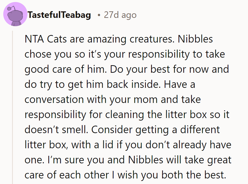 He’s NTA. Nibbles chose him, so he should care for him well. Improve the litter box and keep trying!