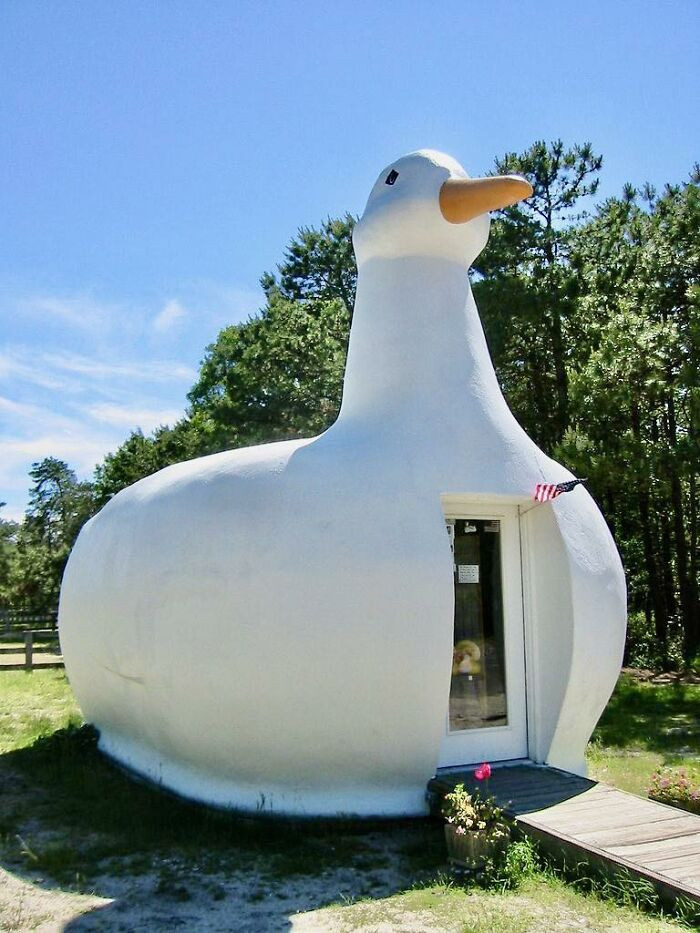 "The Big Duck Is A Historic Roadside Attraction And Architectural Landmark Located In Flanders"