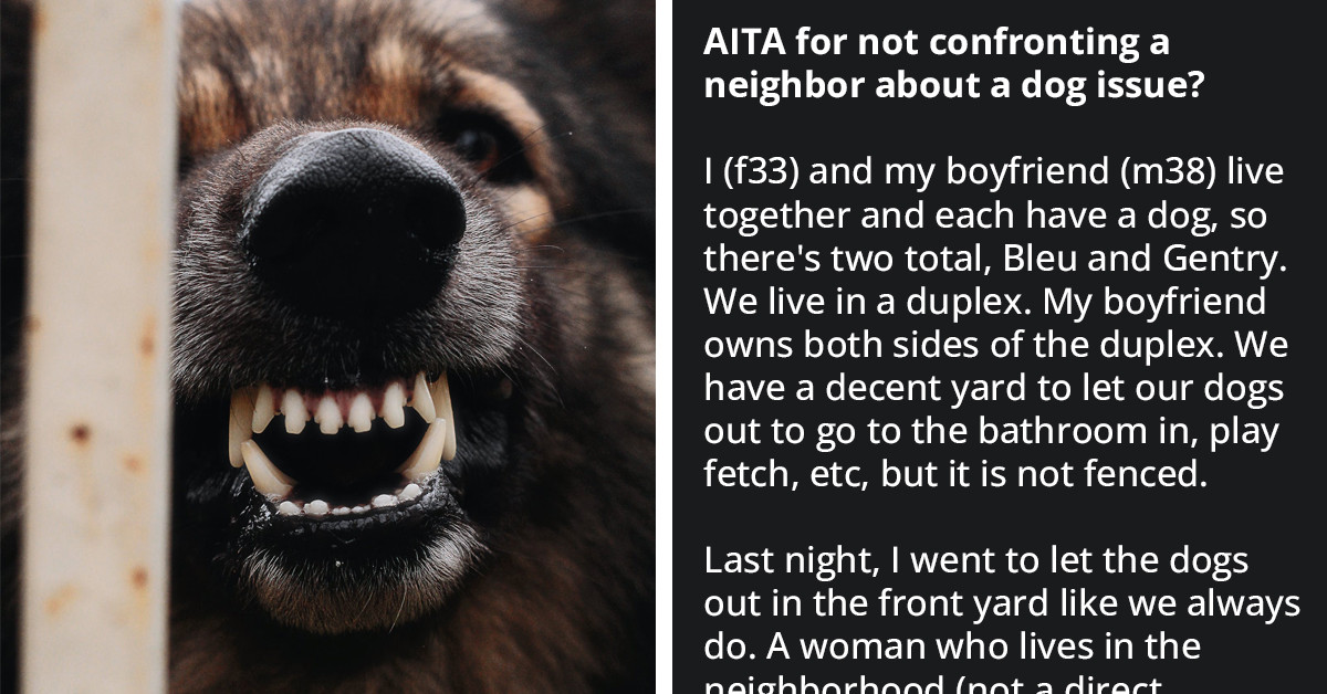 Redditor’s BF Slams Her For Not Being More Confrontational With Neighbor Who Reported Their Unleashed Dogs To Animal Control, Even Though It Was Entirely Their Fault