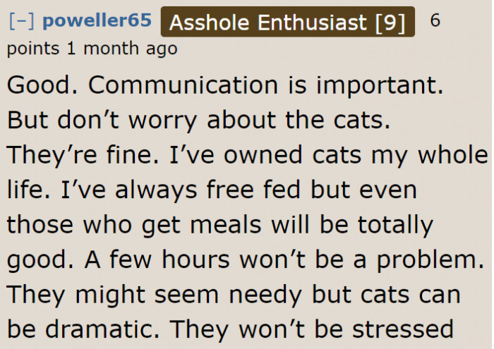 Cat owners ensure the OP that it's okay to feed felines late. Free feeding is also an option.