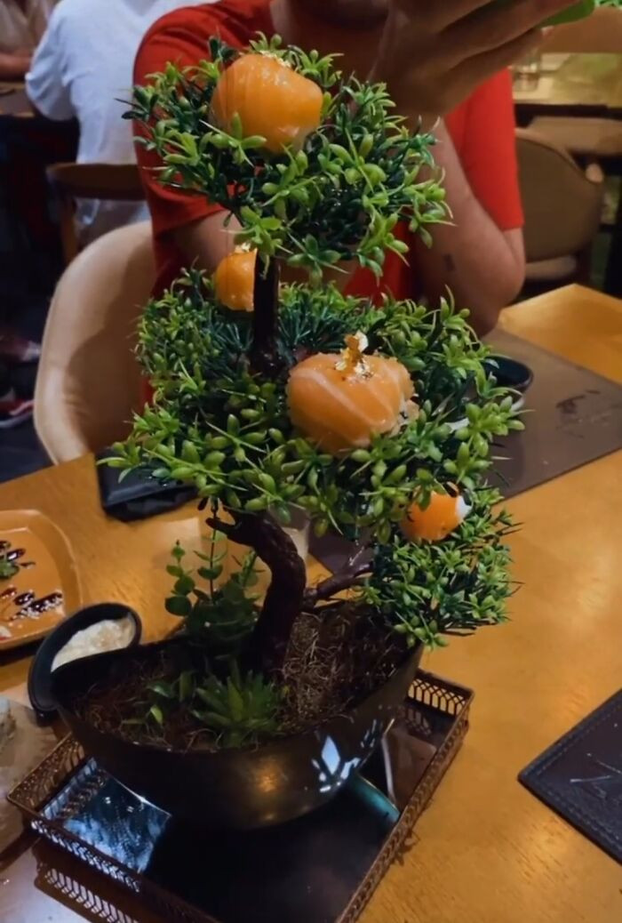12. The Sushi on a Tree