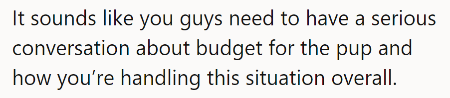 Time for a budget talk about pup perks and handling this hairy situation together!