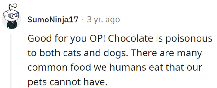 Pets and chocolates? It's like a love story where they're better off apart.
