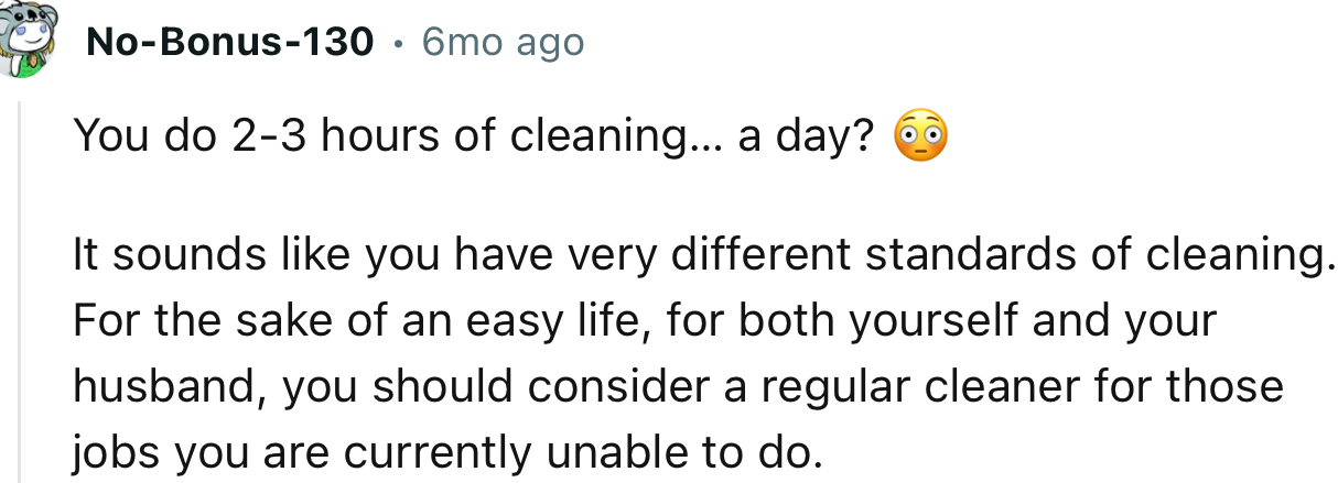 “You do 2-3 hours of cleaning… a day? It sounds like you have very different standards of cleaning.”
