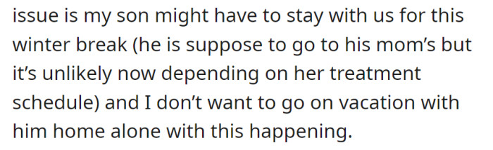 Potential changes to winter break plans as OP hesitates to vacation with their son at home, depending on the mother's treatment schedule.