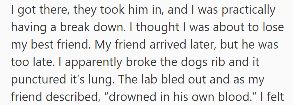 At the vet, fearing for Togo's life, he learned the lab died from a punctured lung.