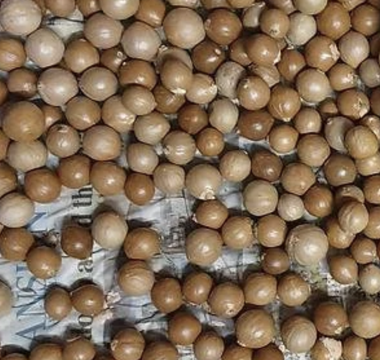 18. Nuts - they are safe to store outside the fridge but remain fresh much longer inside.