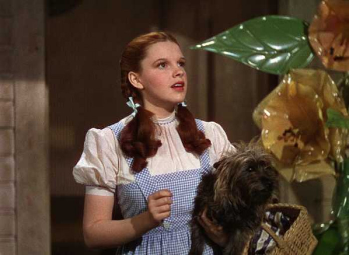 21. The movie 'The Wizard of Oz' with the song 'Over the Rainbow'