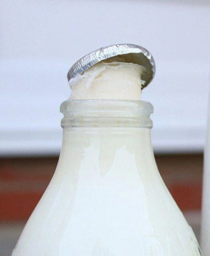 48. This Bottle of Milk