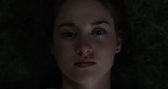 8. The Fault In Our Stars