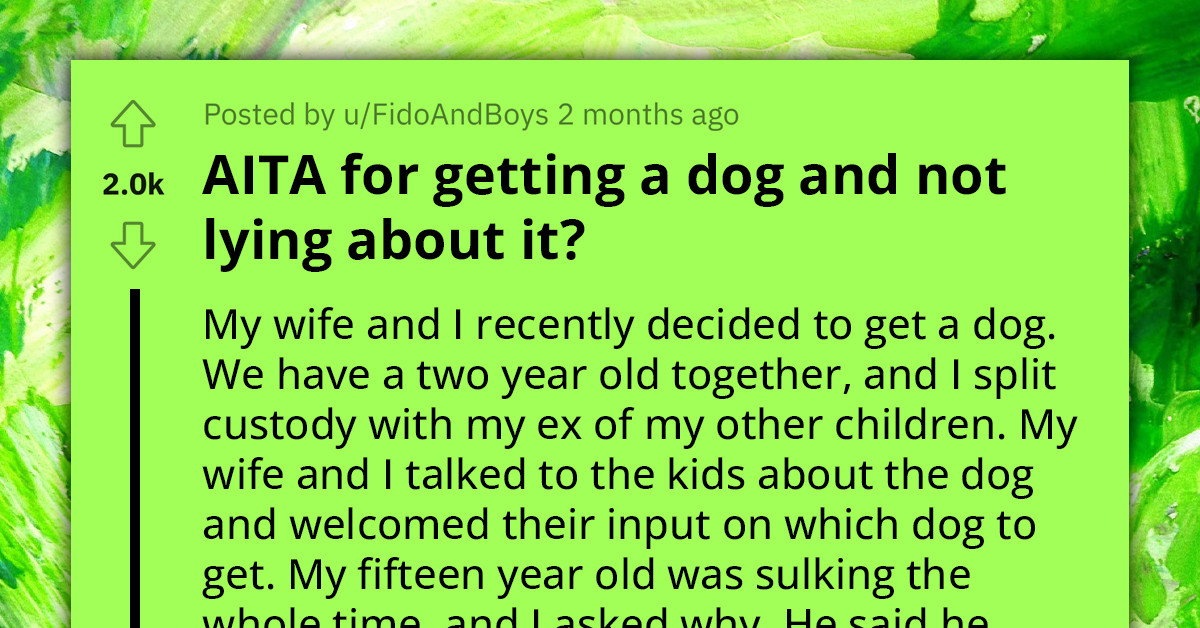 Redditor Faces Backlash From Their Ex After Blaming Her For Being The Reason They Never Got A Dog For Their Son