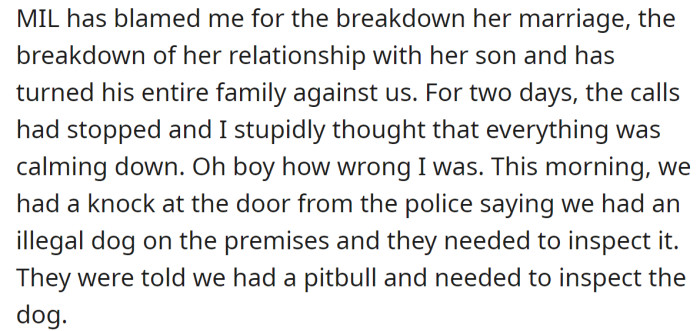 She also explained that her MIL had blamed her for various things, but the situation seemed to calm down:
