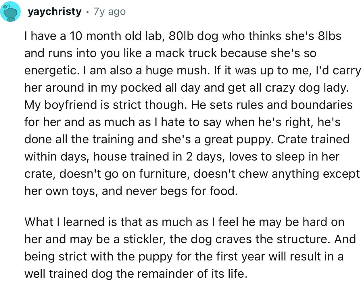 “Being Strict with the Puppy for the First Year Will Result in a Well-Trained Dog for the Remainder of Its Life.”