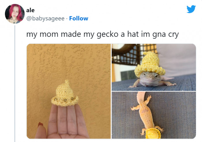 16. Gecko hat from her mom.