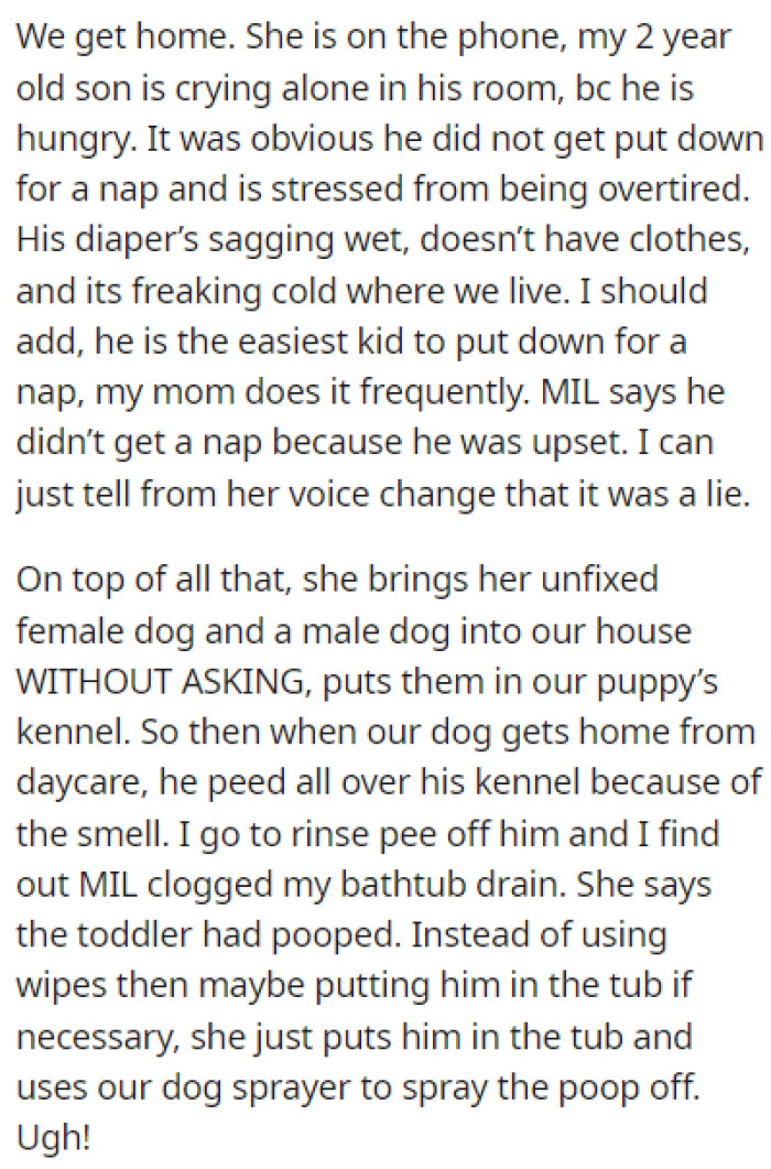 When they got home, it was clear that the MIL neglected their kids