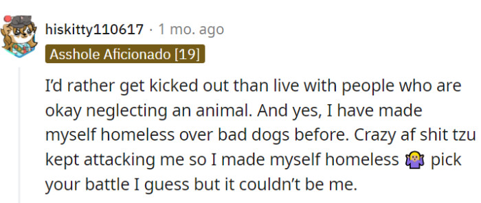 These animals deserve better!