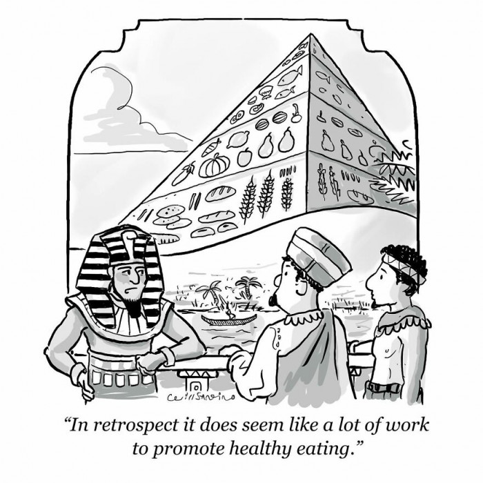 5. The food pyramid... We get it