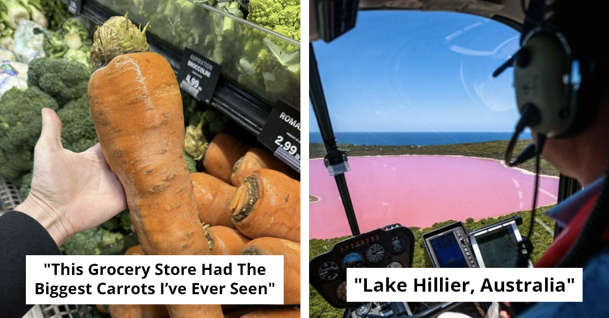 Small Moments That Prove The World Is Still Full Of Surprises