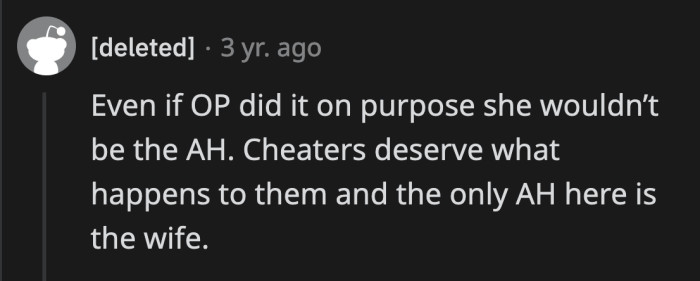 Correct, even if OP was actively exposing her BIL's cheating wife, she still wouldn't be in the wrong