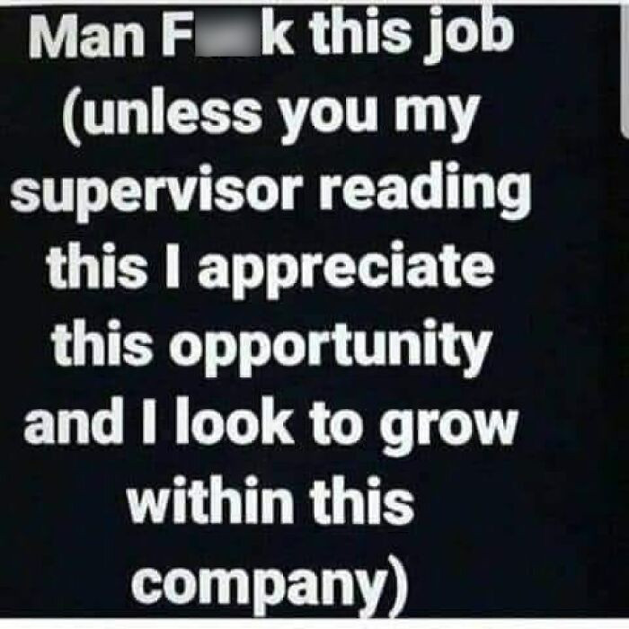 48. Job frustration with a side of job security.