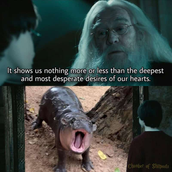 They hit the nail on the head with this.