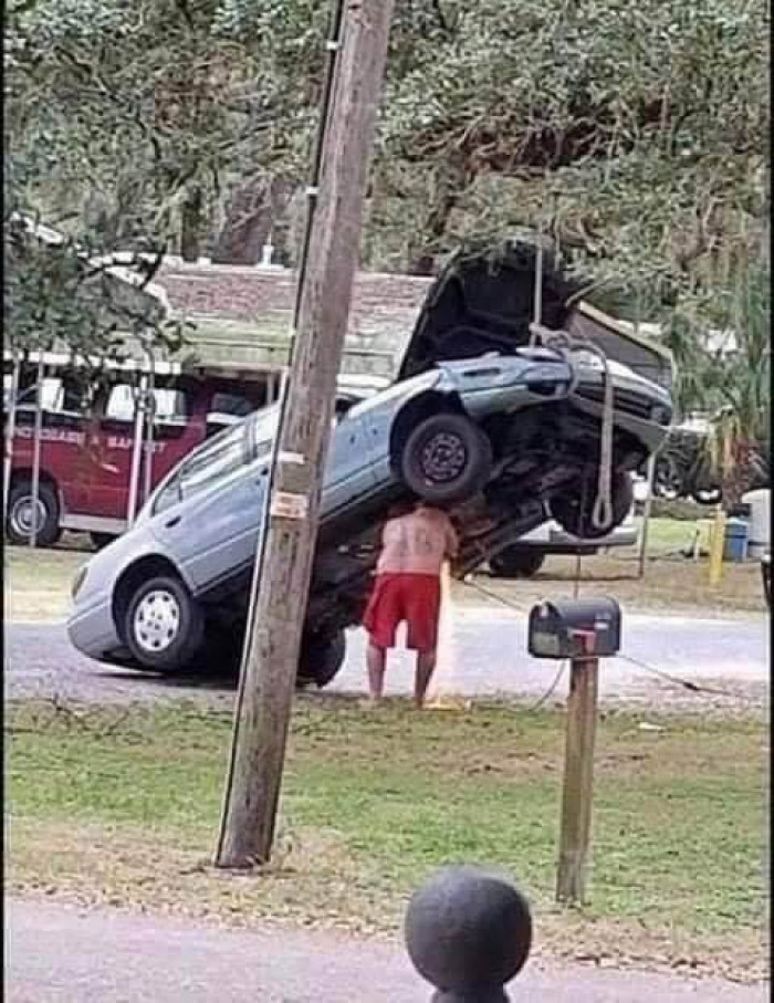 21. No fear. No common sense.