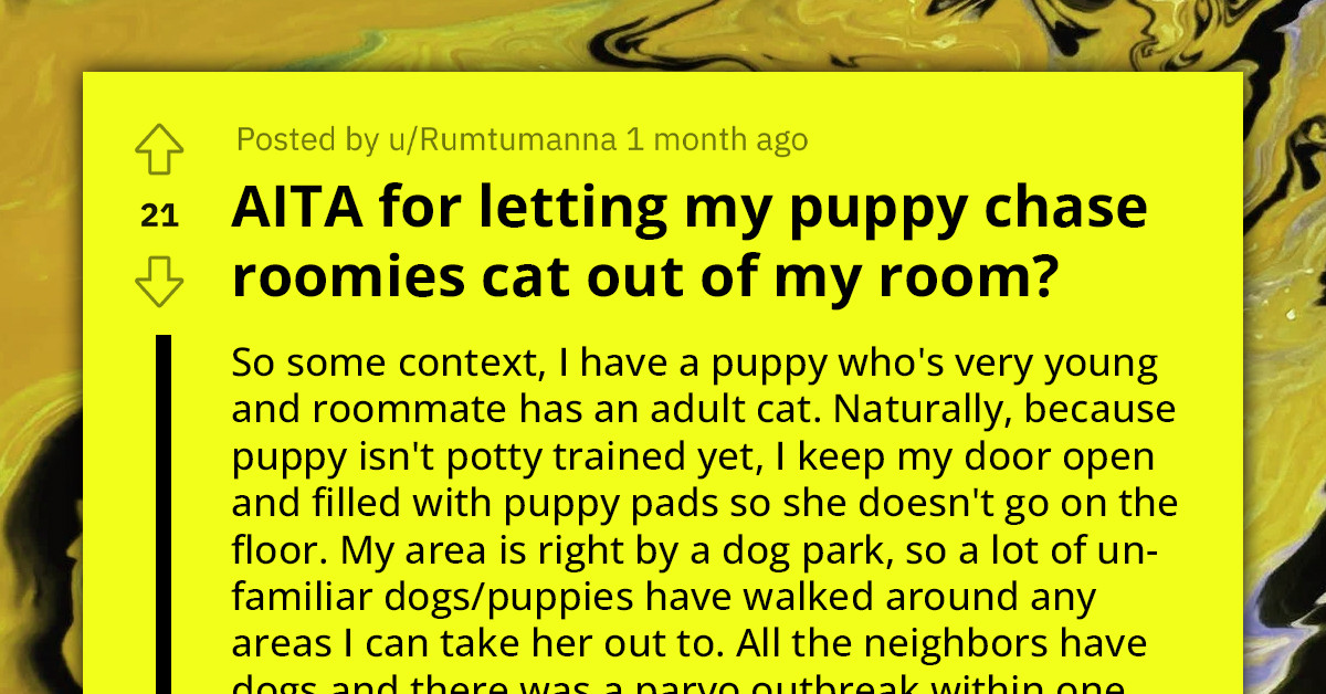Roommate's Neglect Forces Cat Into Redditor's Room, Puppy Steps Up To Defend Territory