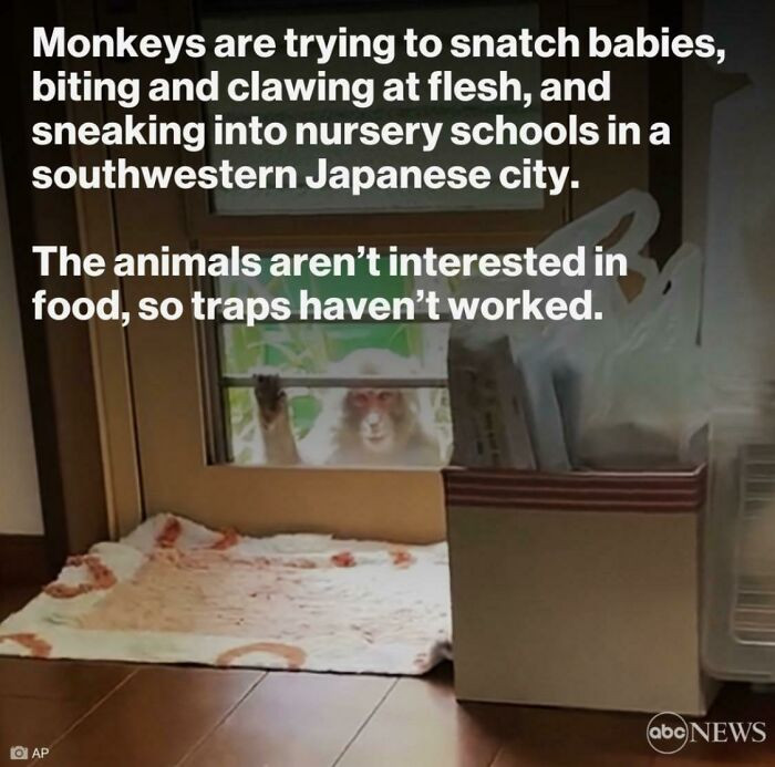 40. I’ve Already Seen 3 Videos This Week. As A Parent, This Is Terrifying