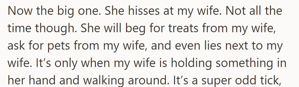 The cat hisses at his wife only when she’s holding something and walking around.