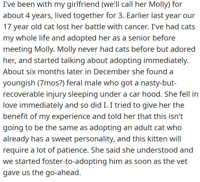 It’s not easy replacing a beloved pet, but we appreciate the heart of this couple who welcomed a cat in need of a home.