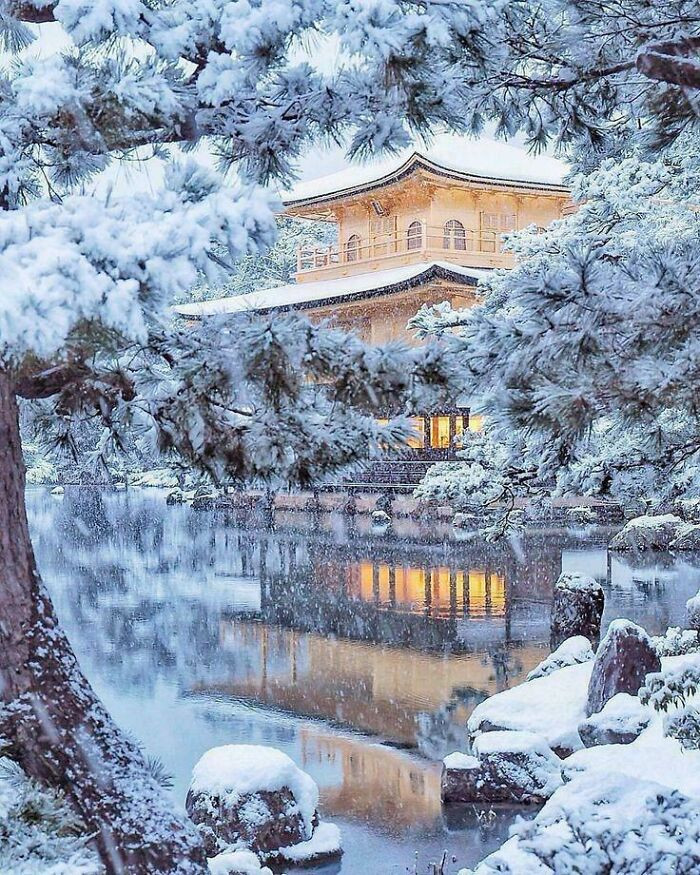 Snow In Kyoto. Photo By: @criss1016