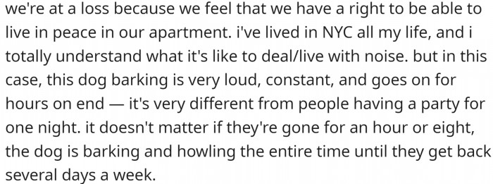 OP believes they have a right to live in peace in their apartment. They are used to noise, having lived in NYC their whole life, but this is too much.