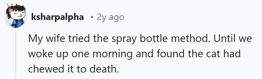 Well, looks like the cat won that round... and the spray bottle.